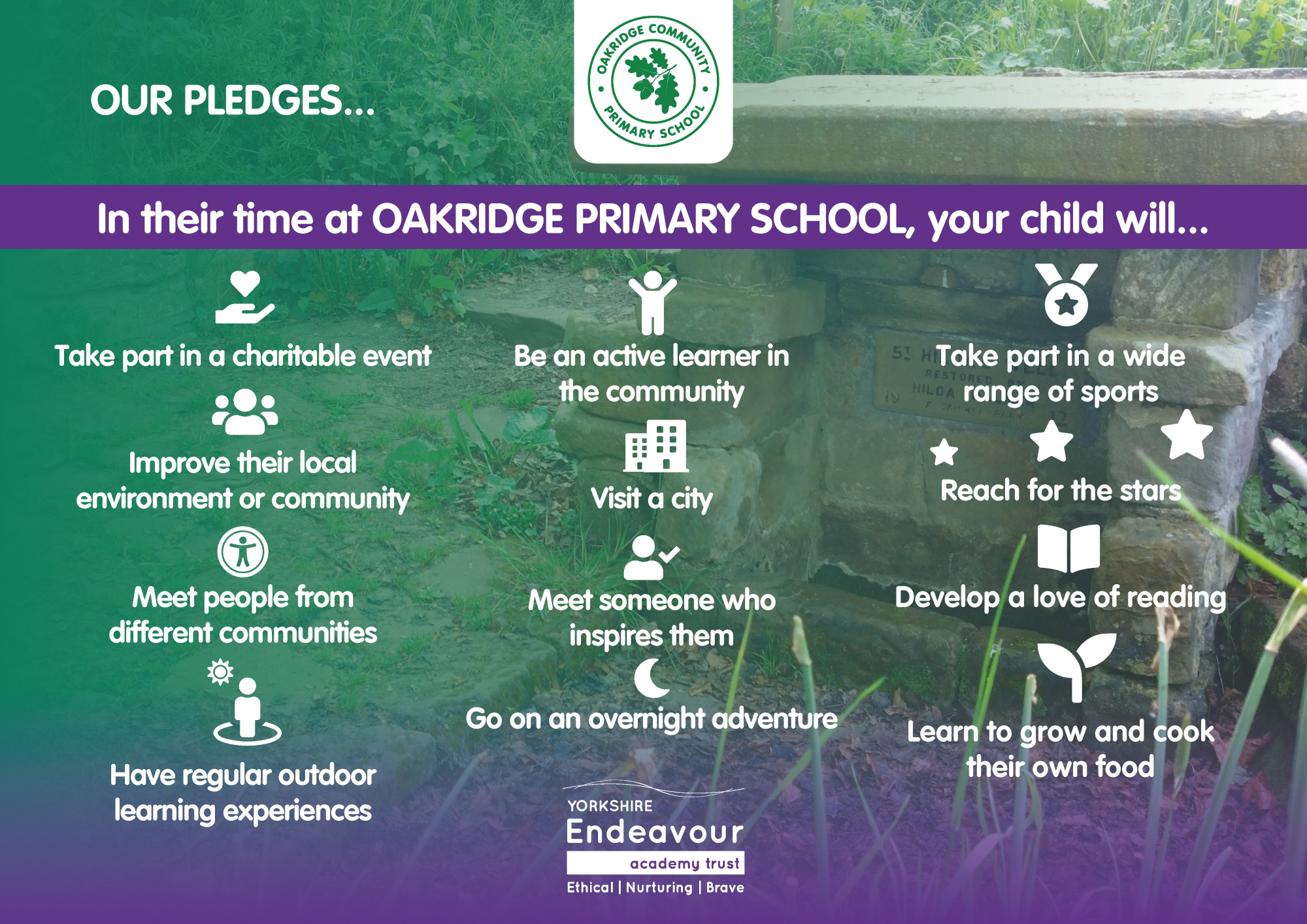 Oakridge pledge board